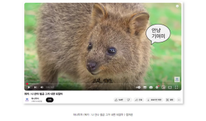 25년 1분기, GenZ 마음에 쏙 들어온 최고의 마케팅 사례 TOP5