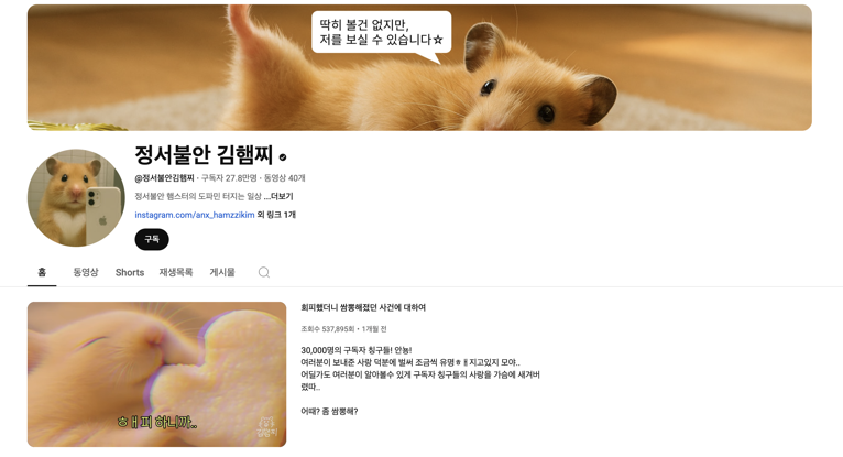 유튜브 정서불안 김햄찌 채널