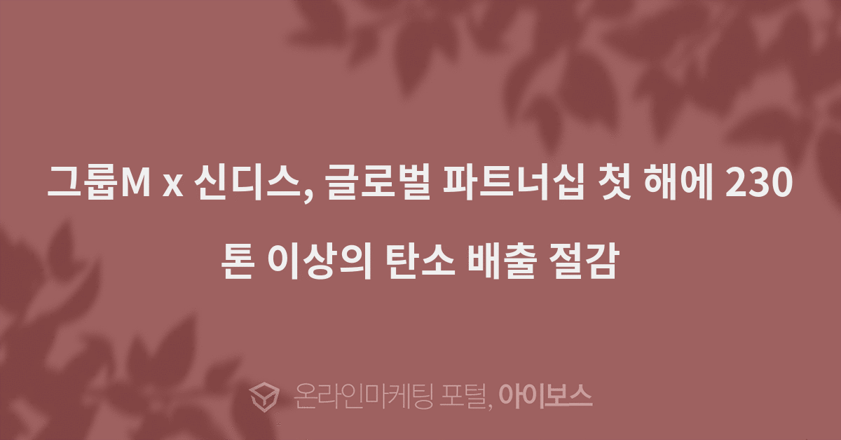 신디스 이미지