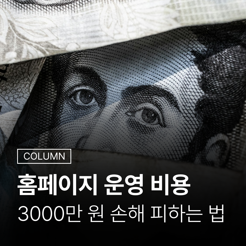 홈페이지 운영 비용? 최대 3000만원까지 피해볼 수 있습니다. - 마케팅 - 정보공유 - 아이보스